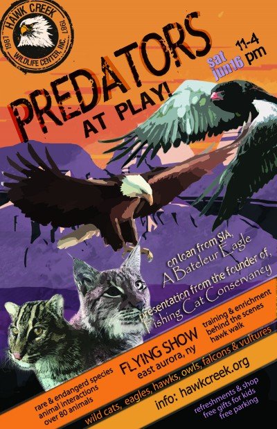Predators at Play