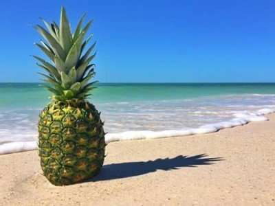 The Screaming Pineapples — Apr 28, 2018