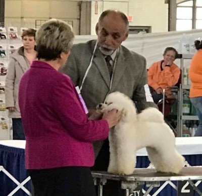 The Nickel City Cluster All Breed Conformation Dog Show and Obedience and Rally Trials