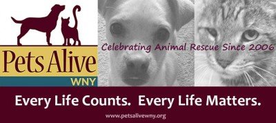 Painting With Patti Pets Alive WNY Fundraiser — Jun 3, 2018