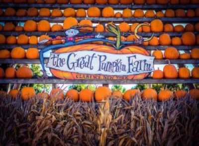 The Great Pumpkin Farm Fall Festival