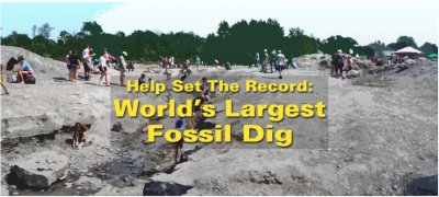 World's Largest Fossil Dig