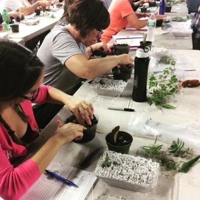 Horticulture I Certificate Series - Fall Semester