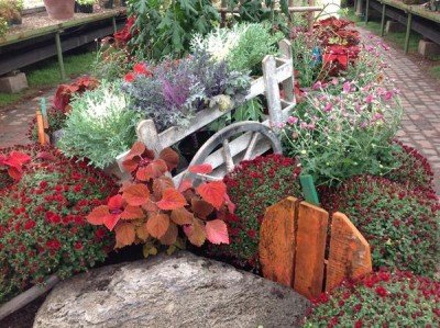 Wegmans Family Day & Boo-tanical Celebration