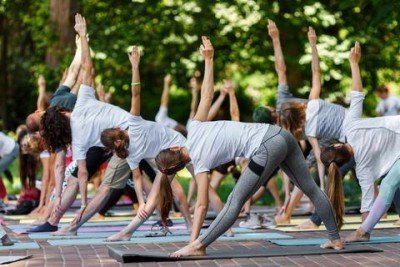 Gentle Hatha Yoga at Buffalo & Erie County Botanical Gardens — Sep 12, 2018