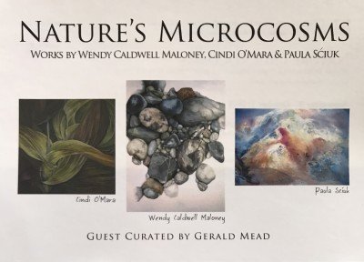 Nature’s Microcosms — Sep 9, 2018