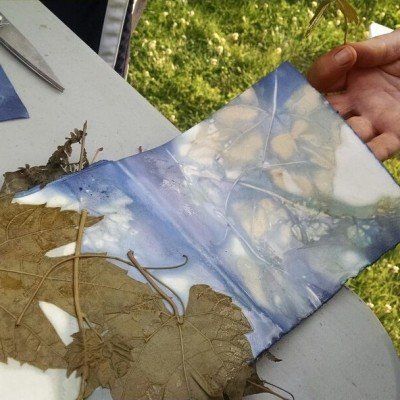 Printing from Nature Workshop with Debra Eck