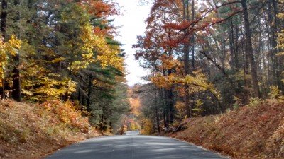 Hello Buffalo! Saturday Getaway at Chestnut Ridge Park - Commissioners Cabin — Nov 10, 2018