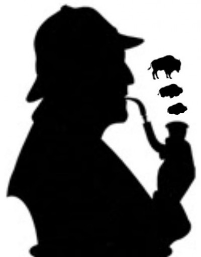 The ACME Mystery Co. Buffalo Auditions