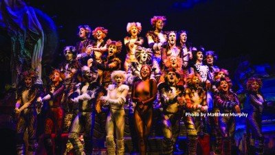 CATS