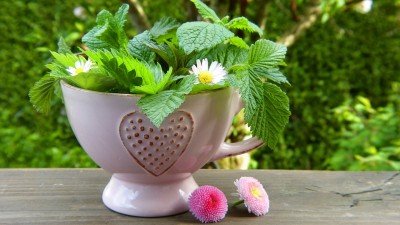 Botanical Bitters Making And Their Benefits - Who Knew! — Mar 13, 2019
