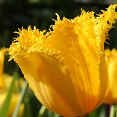 Easter Weekend at the Botanical Gardens — Apr 19, 2019