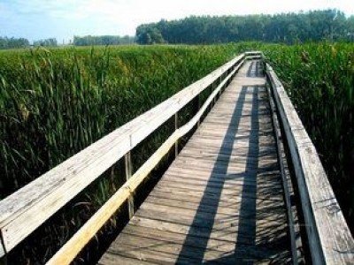 Walk with Mother Nature on Mother's Day — May 12, 2019