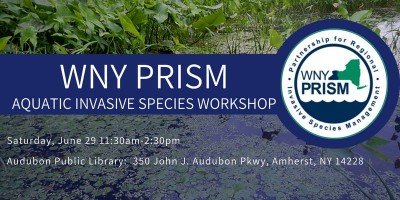 Aquatic Invasive Species Workshop — Jun 29, 2019