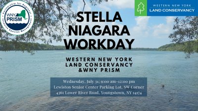 Stella Niagara Workday — Jul 31, 2019