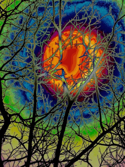 In Thy Light We See Light: Photographs by Rodney Galarneau