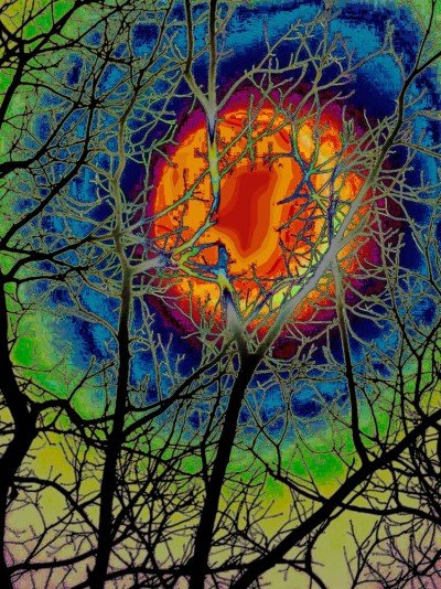 In Thy Light We See Light: Photographs by Rodney Galarneau