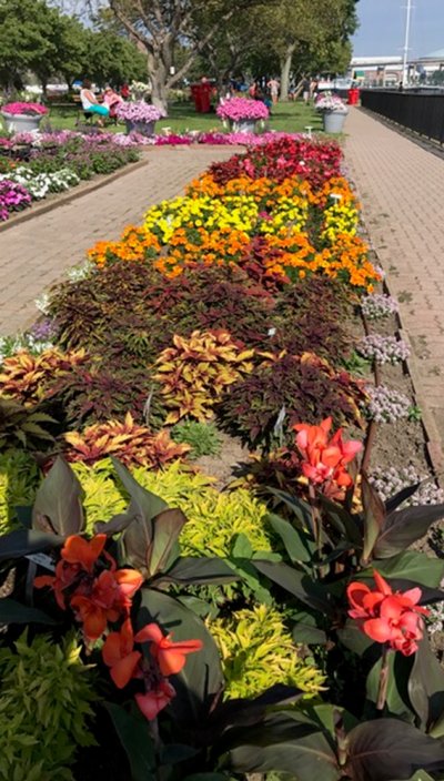 Growing Seeds of Love, Healing, and Hope: In memory and in honor of the Tree of Life Synagogue
