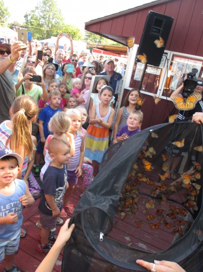 Monarch Butterfly Release Celebration & Environmental Conservation Day