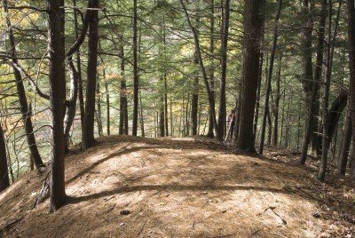Save Mossy Point  — Oct 24, 2019