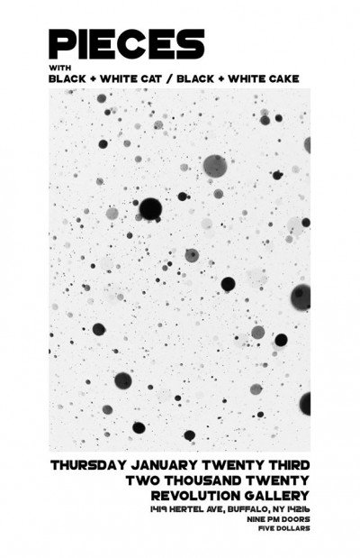 Pieces with Black & White Cat Black & White Cake