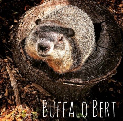 7th Annual Buffalo Groundhog Day