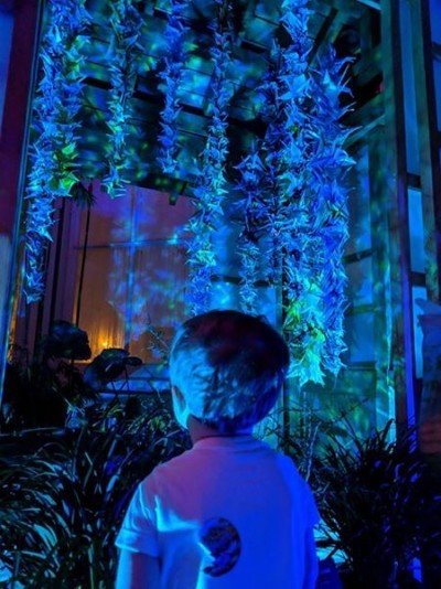 Family Night with the Aquarium of Niagara at Lumagination