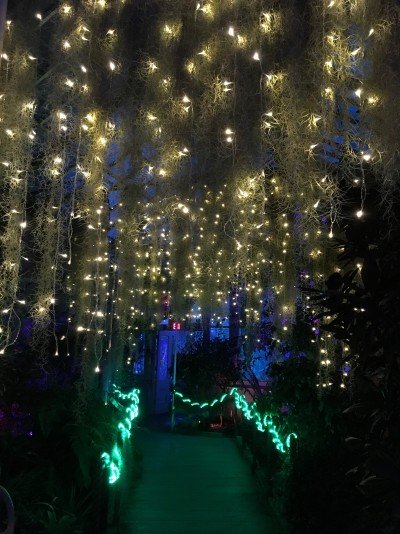 Sensory Night by Autism Services, Inc. at Lumagination