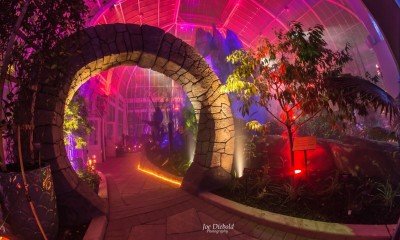 Family Night with the Albright-Knox Art Gallery at Lumagination — Feb 9, 2020
