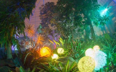 Family Night with the Buffalo Audubon Society — Feb 16, 2020
