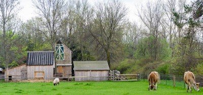Maple Festival & Pancake Breakfast