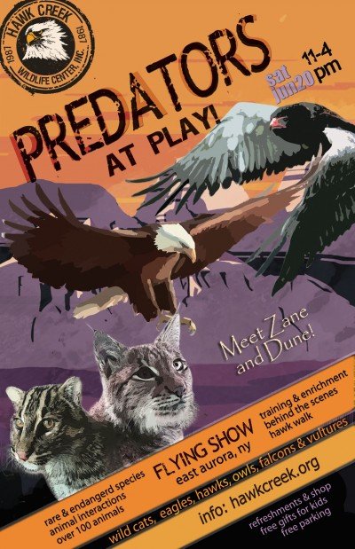 CANCELED - PREDATORS AT PLAY Hawk Creek Wildlife Center