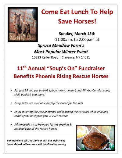 Soup's On fundraiser to benefit rescue horses