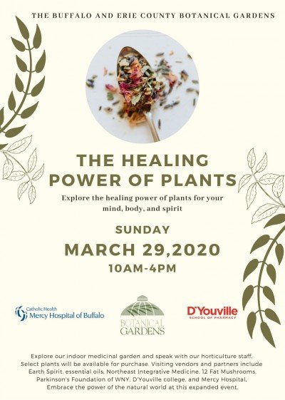 Healing Power of Plants