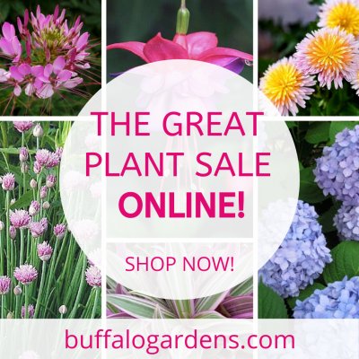 The Great Plant Sale Online!