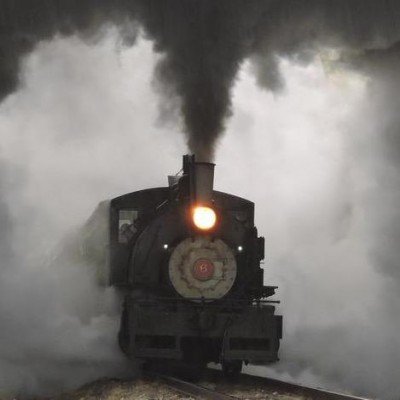 Peaceful Path Exhibit