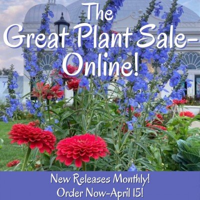 The Great Plant Sale- Online!