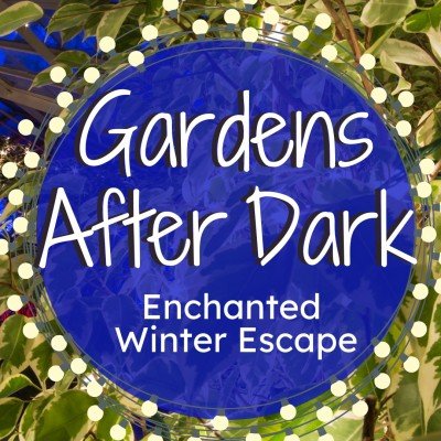 Gardens After Dark: Enchanted Winter Escape