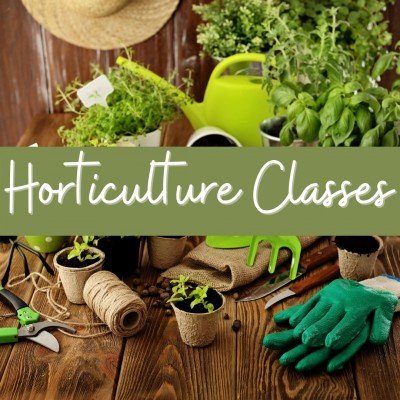 Horticulture Classes- Online