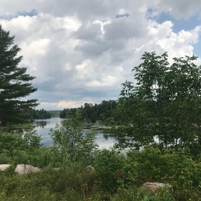 Watercolor IV- Intermediate Expression Trees in a Landscape