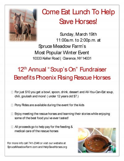 "Soup's On" fundraiser for rescue horses