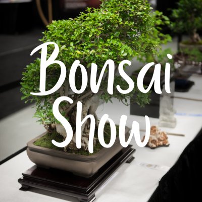 Bonsai Show
