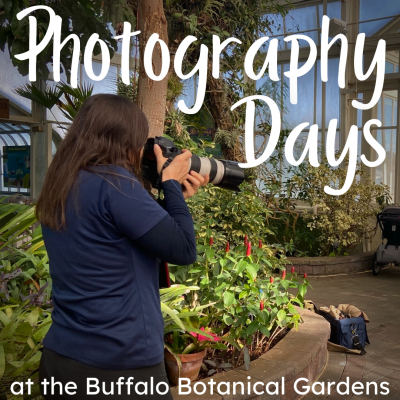 Photography Days | Buffalo Botanical Gardens
