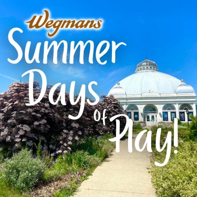 Wegmans Summer Days of Play!