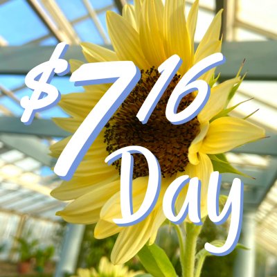 716 Day