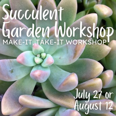 Succulent Garden Workshop