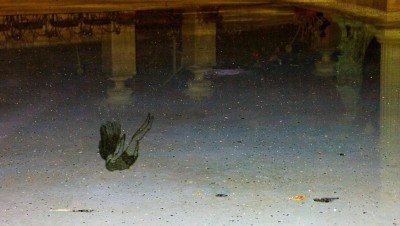 The Animation Fest! A Retrospective Exhibition