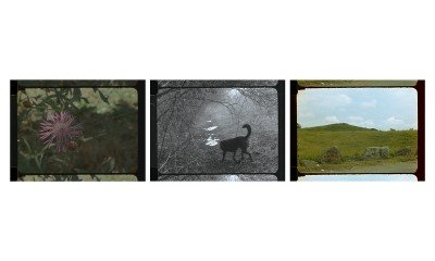 Carl Lee, "Unity Island"