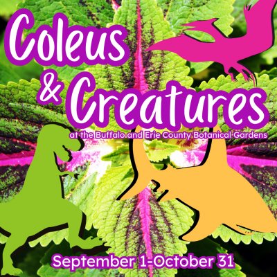 Coleus and Creatures