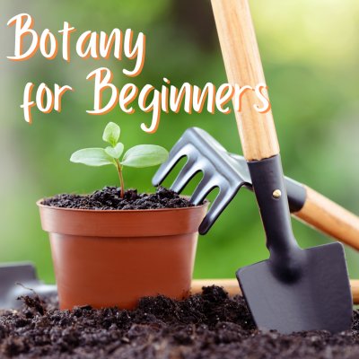 Botany for Beginners | Horticulture Class at Buffalo & Erie County Botanical Gardens — Sep 9, 2023